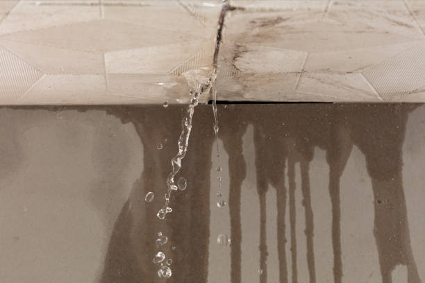 Professional Structural Drying technician working in Waxahachie, TX
